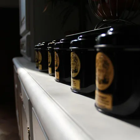 Chateau D'amenon A 35mn Du Circuit Du Mans Et 35mn De Tours 3*