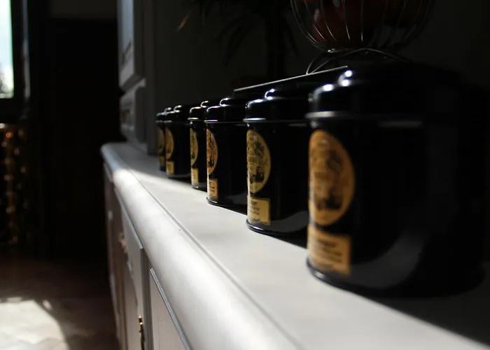 Chateau D'amenon A 35mn Du Circuit Du Mans Et 35mn De Tours 3*