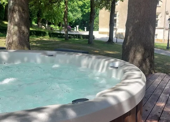 Chateau D'amenon A 35mn Du Circuit Du Mans Et 35mn De Tours 3* La Chapelle-aux-Choux